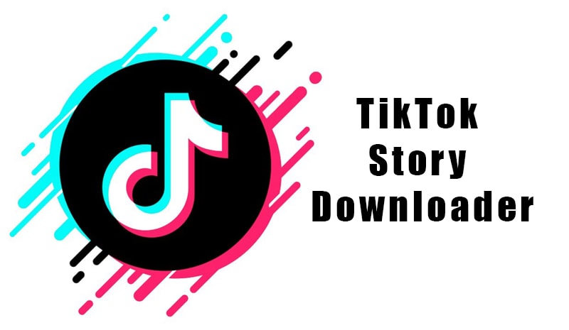 tiktok story downloader